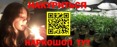 дмт Новодвинск