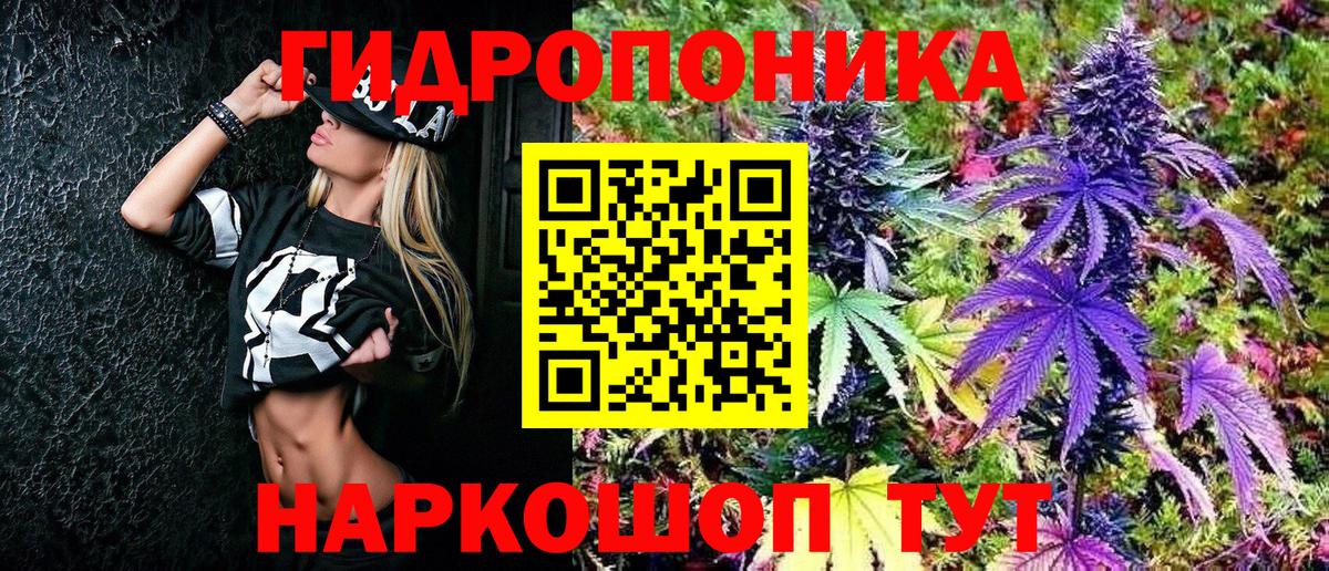 Каннабис SATIVA & INDICA  Вход с VPN  Марихуана тримм  Марихуана сатива  Тельмана 